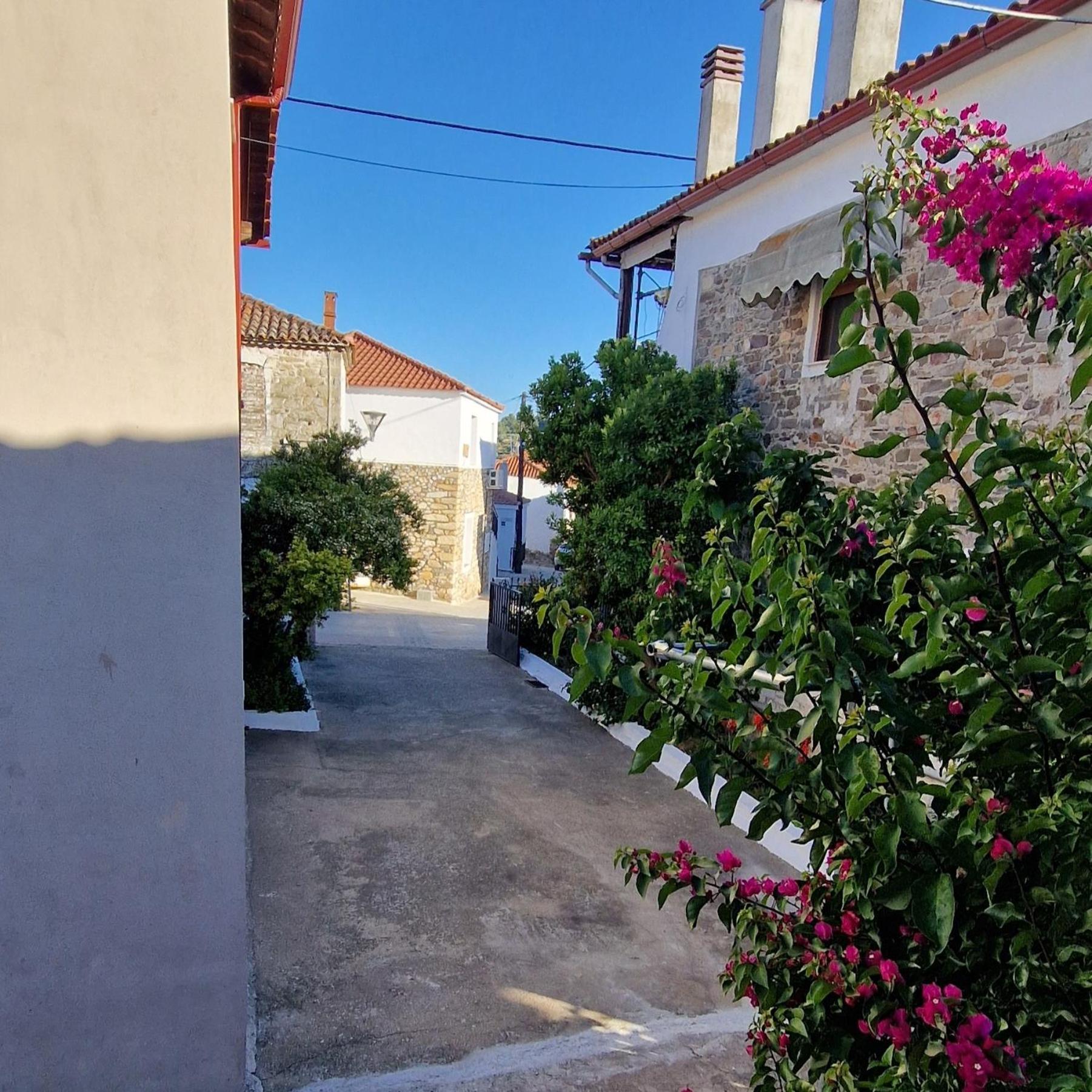 דירות אגיוס ניקולאוס Nikolaos House מראה חיצוני תמונה
