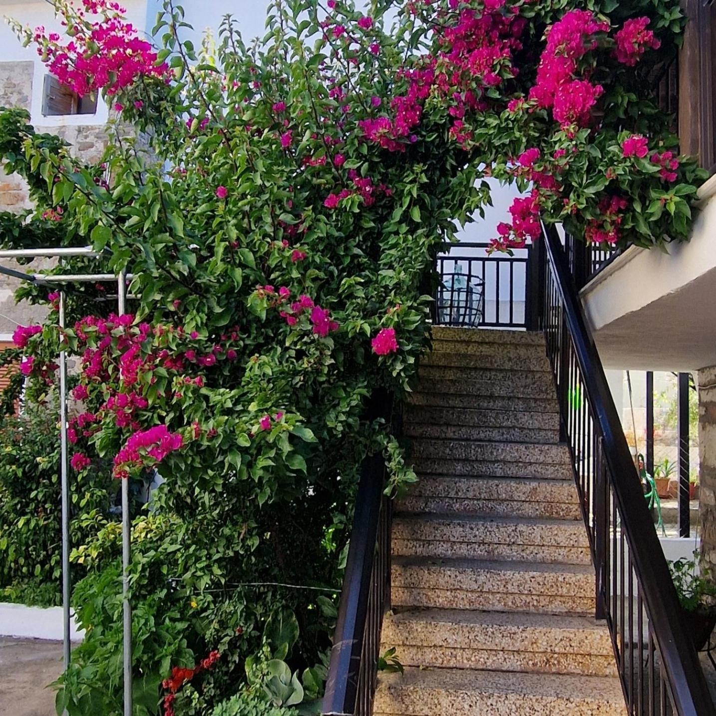 דירות אגיוס ניקולאוס Nikolaos House מראה חיצוני תמונה